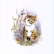 デザイン転写紙セット (有鉛) ＮＯ．８　猫 6×6cm　８ピース