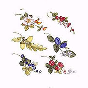 デザイン転写紙セット (有鉛) ＮＯ．１２　花 6×3cm　２３ピース