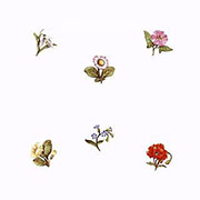 デザイン転写紙セット (有鉛) ＮＯ．１４　花 2.5×0.6cm　６２ピース