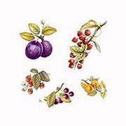 デザイン転写紙セット (有鉛) ＮＯ．１８　果実 4.5×6.5cm　3.5×4.5cm　３０ピース